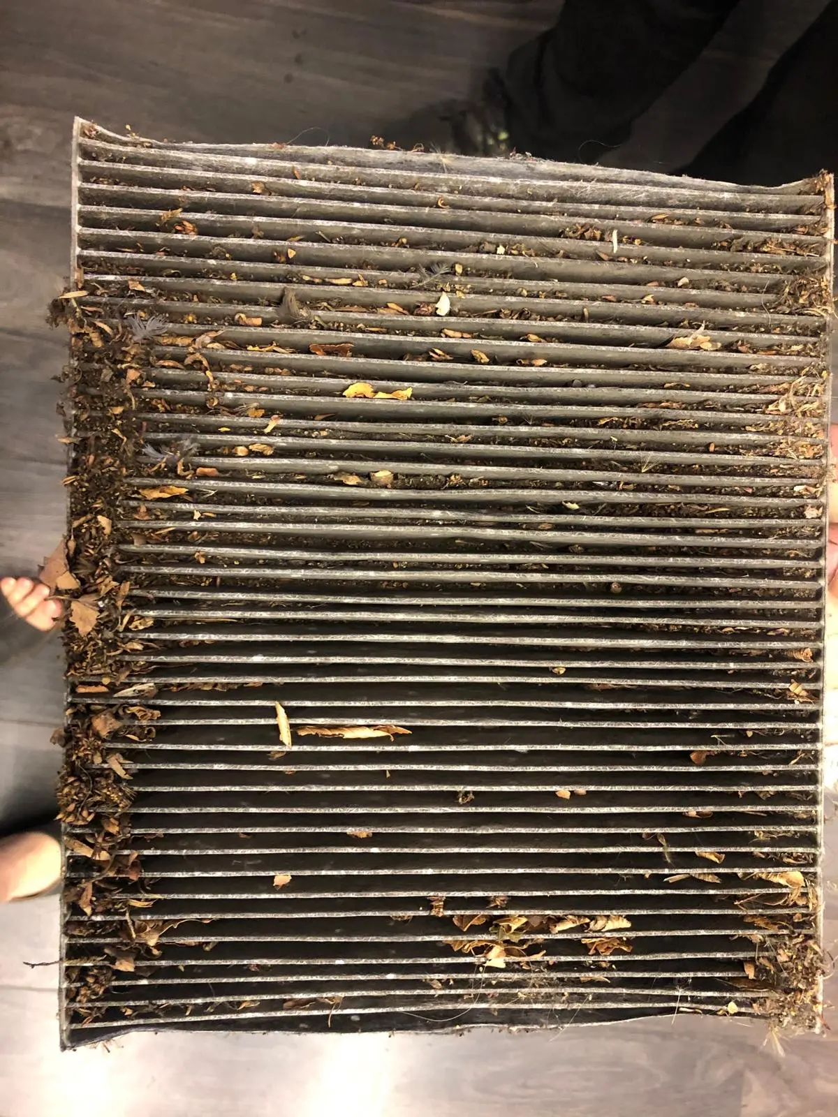 Diagnostyka układu elektrycznego samochodu w Auto Firma Legnica