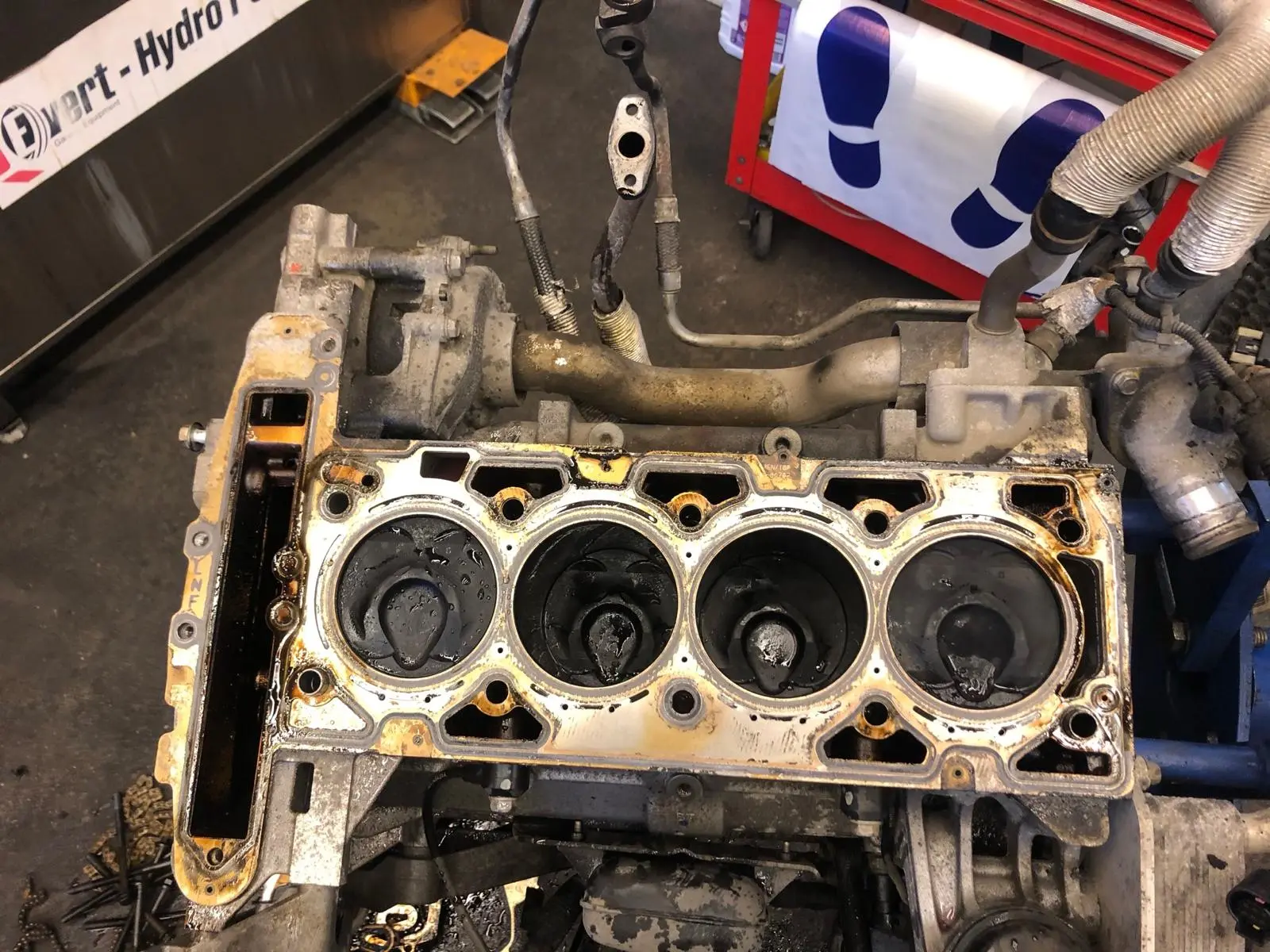 Kompleksowy serwis elektryczny samochodu w Auto Firma Legnica