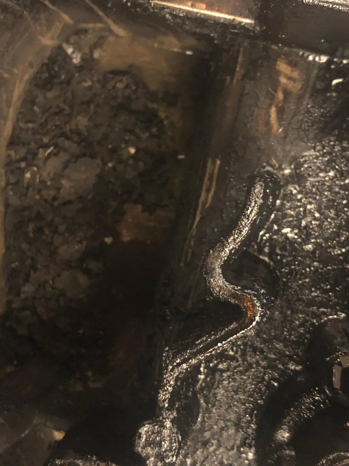 Kompleksowy serwis układu kierowniczego w Auto Firma Legnica